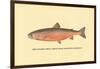 The Sunapee Trout-H.h. Leonard-Framed Art Print