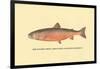 The Sunapee Trout-H.h. Leonard-Framed Art Print