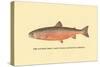 The Sunapee Trout-H.h. Leonard-Stretched Canvas