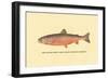 The Sunapee Trout-H.h. Leonard-Framed Art Print