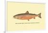 The Sunapee Trout-H.h. Leonard-Framed Art Print