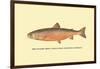 The Sunapee Trout-H.h. Leonard-Framed Art Print