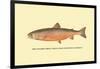 The Sunapee Trout-H.h. Leonard-Framed Art Print