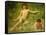 The Sunbathers-Henry Scott Tuke-Framed Stretched Canvas