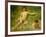 The Sunbathers-Henry Scott Tuke-Framed Giclee Print