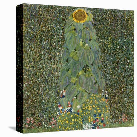 The Sunflower, 1905-Gustav Klimt-Stretched Canvas