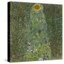 The Sunflower, 1905-Gustav Klimt-Stretched Canvas