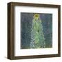 The Sunflower, c.1906-1907-Gustav Klimt-Framed Art Print