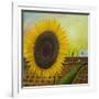 The Sunflower-Chris Ross Williamson-Framed Giclee Print