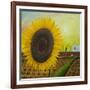 The Sunflower-Chris Ross Williamson-Framed Giclee Print