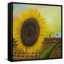 The Sunflower-Chris Ross Williamson-Framed Stretched Canvas