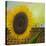 The Sunflower-Chris Ross Williamson-Stretched Canvas