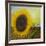 The Sunflower-Chris Ross Williamson-Framed Giclee Print