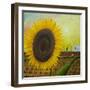 The Sunflower-Chris Ross Williamson-Framed Giclee Print