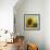 The Sunflower-Chris Ross Williamson-Framed Giclee Print displayed on a wall