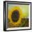 The Sunflower-Chris Ross Williamson-Framed Giclee Print