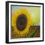 The Sunflower-Chris Ross Williamson-Framed Giclee Print