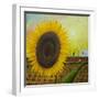 The Sunflower-Chris Ross Williamson-Framed Giclee Print