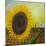 The Sunflower-Chris Ross Williamson-Mounted Giclee Print