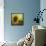 The Sunflower-Chris Ross Williamson-Framed Stretched Canvas displayed on a wall