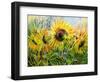 The Sunflowers Drawn By Gouache On A Paper-balaikin2009-Framed Art Print