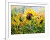 The Sunflowers Drawn By Gouache On A Paper-balaikin2009-Framed Art Print