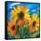 The Sunflowers-balaikin2009-Framed Stretched Canvas