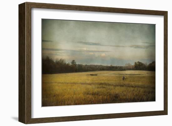 The Sunrise Hour-Jai Johnson-Framed Giclee Print