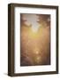 The Suns Perfect 2-null-Framed Photographic Print