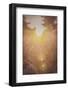 The Suns Perfect 2-null-Framed Photographic Print