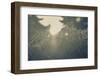 The Suns Perfect-null-Framed Photographic Print