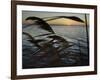 The Sunset is Seen Through Reeds on the Bay Side of Island Beach State Park-null-Framed Photographic Print