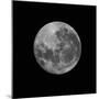 The Supermoon of March 19, 2011-Stocktrek Images-Mounted Premium Photographic Print