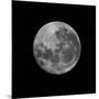 The Supermoon of March 19, 2011-Stocktrek Images-Mounted Photographic Print