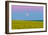 The Supermoon Rising Above a Canola Field in Southern Alberta, Canada-Stocktrek Images-Framed Photographic Print