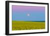 The Supermoon Rising Above a Canola Field in Southern Alberta, Canada-Stocktrek Images-Framed Photographic Print