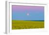 The Supermoon Rising Above a Canola Field in Southern Alberta, Canada-Stocktrek Images-Framed Photographic Print