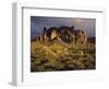 The Superstition Mountains in Lost Dutchman State Park, Arizona-Greg Probst-Framed Photographic Print