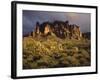 The Superstition Mountains in Lost Dutchman State Park, Arizona-Greg Probst-Framed Photographic Print