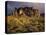 The Superstition Mountains in Lost Dutchman State Park, Arizona-Greg Probst-Stretched Canvas