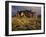 The Superstition Mountains in Lost Dutchman State Park, Arizona-Greg Probst-Framed Photographic Print