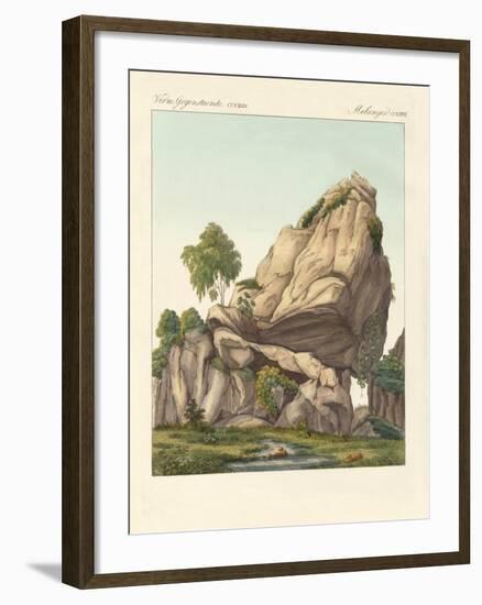 The Supposed Fossilized Reuter of Fontainebleau-null-Framed Giclee Print