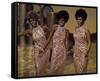 The Supremes-null-Framed Stretched Canvas