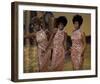 The Supremes-null-Framed Photo