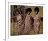 The Supremes-null-Framed Photo