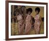 The Supremes-null-Framed Photo