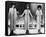 The Supremes-null-Framed Stretched Canvas