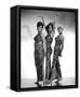 Framed Canvas