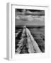 The Surf Breaking on the East Coast of Florida During Low Tide-Fritz Goro-Framed Photographic Print