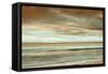 The Surf-John Seba-Framed Stretched Canvas